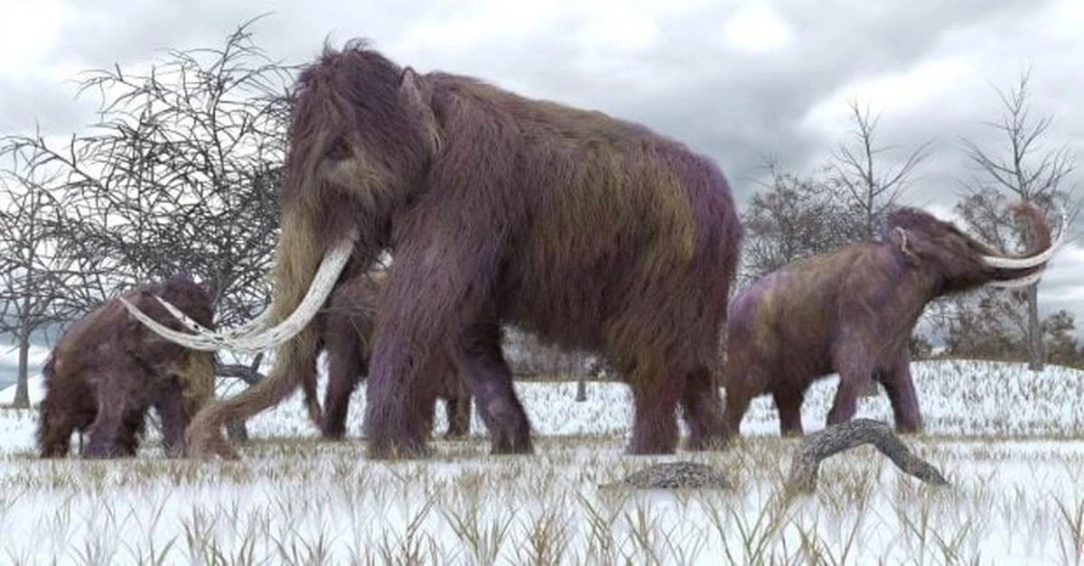 Símbolos en colmillos de mamut: ¿La escritura más antigua de la humanidad?