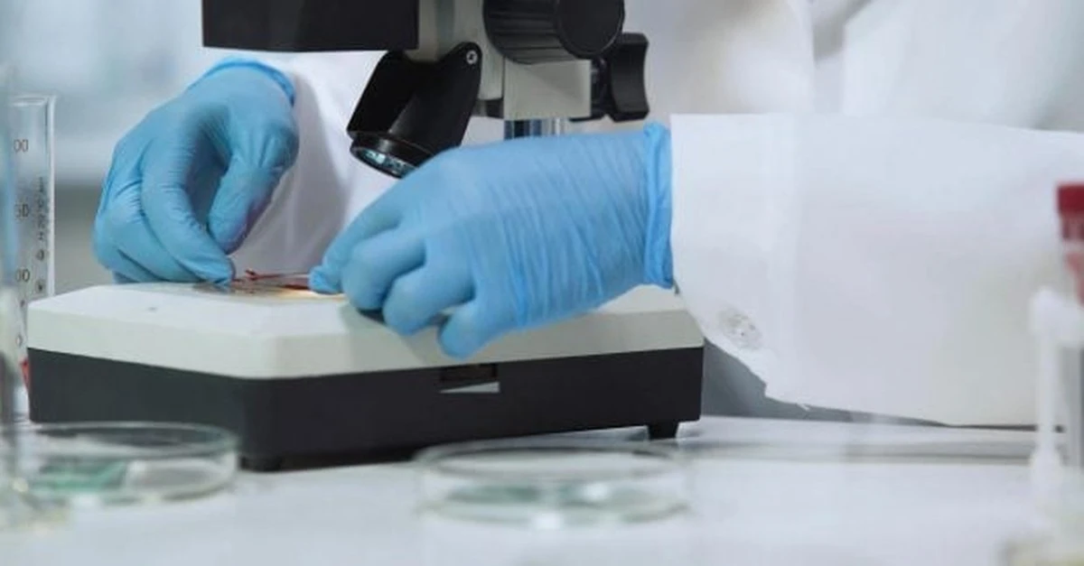 El tesoro de Villena: dos objetos "de metal de las estrellas" explican un misterio de hace 3.000 años