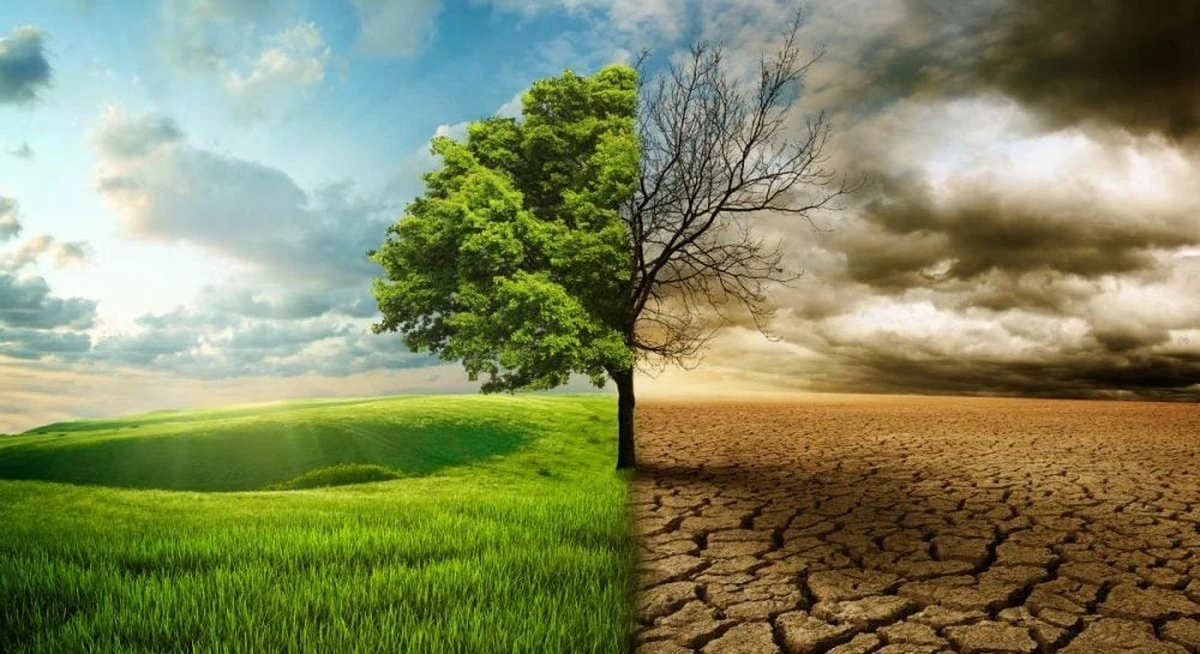 Por qué la Tierra no se está secando por completo: el secreto está en el océano