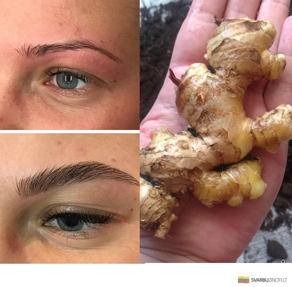 Por qué frotan jengibre en sus cejas: Recuperé mis cejas y cubrí las calvas en una semana