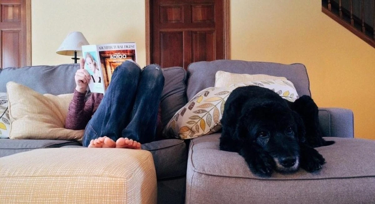 El aire que respiras en casa podría estar siendo afectado mucho más de lo que piensas por tu mejor amigo: un estudio revela los detalles