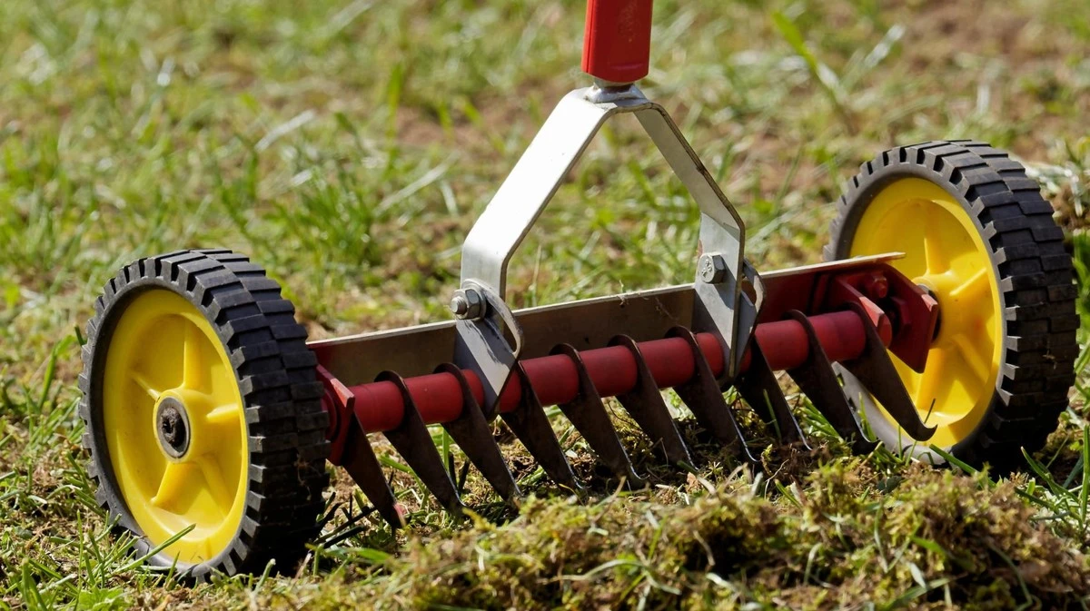 El truco de jardinería que revive tu césped en primavera