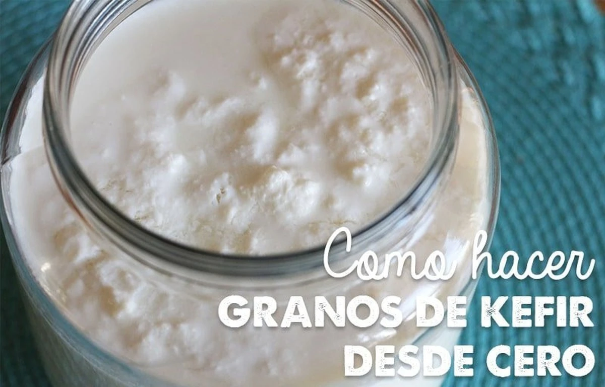 La masa de kéfir sin levadura que te hará olvidar las recetas tradicionales - image 1
