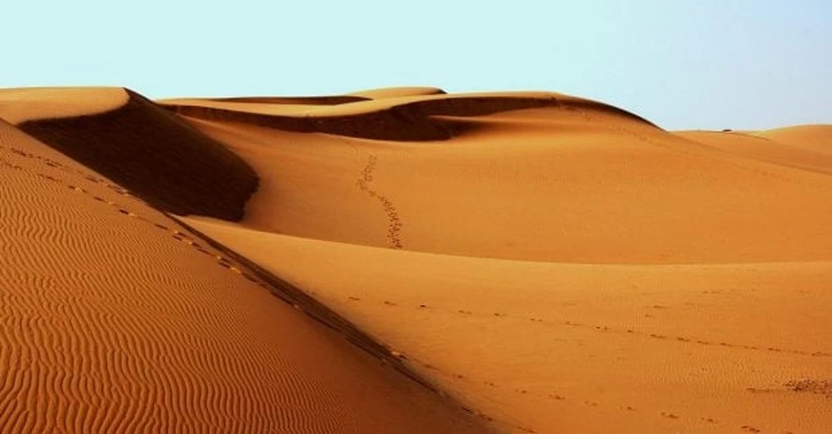 NASA revela círculos verdes misteriosos en el desierto de Arabia Saudita: la razón te sorprenderá