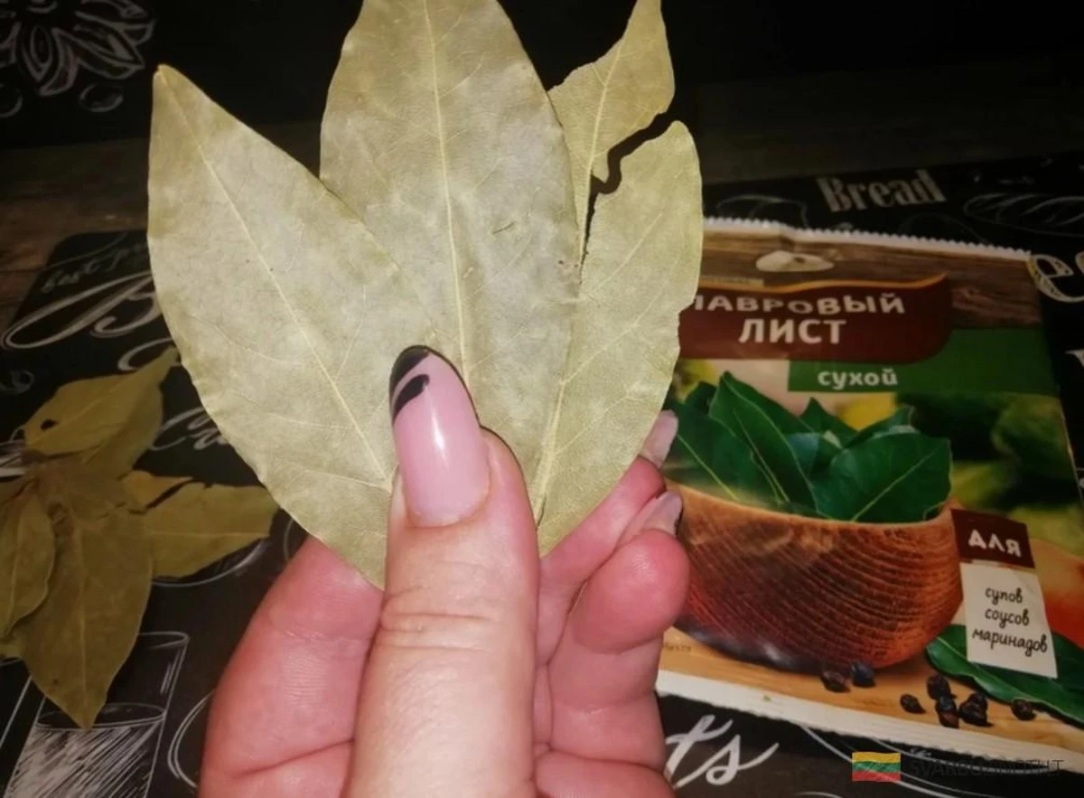 Adiós a las moscas: el truco infalible con solo una hoja de laurel