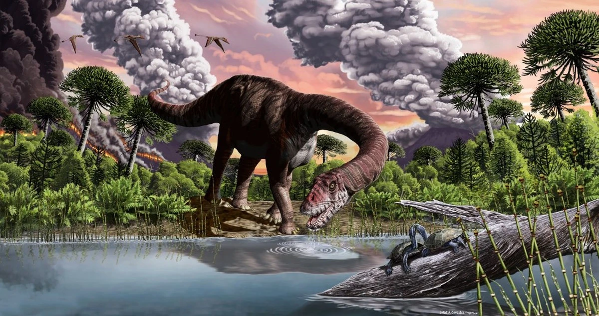 El misterio del enfriamiento global tras los dinosaurios: La clave estaba en el océano - image 1