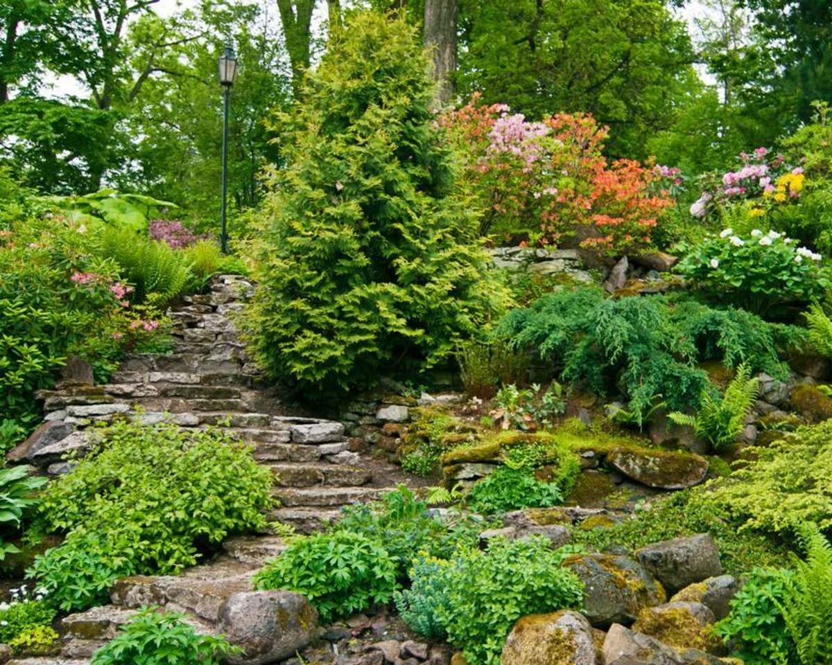 8 plantas perennes de bajo mantenimiento que transformarán tu jardín inclinado - image 1