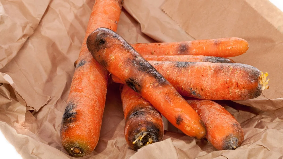 ¿Zanahorias con manchas negras? La verdad oculta que debes saber antes de tirarlas
