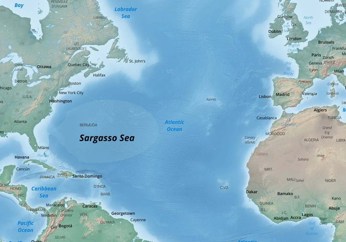 El mar virgen que solotiene aguasas y nada de tierra firme - image 1