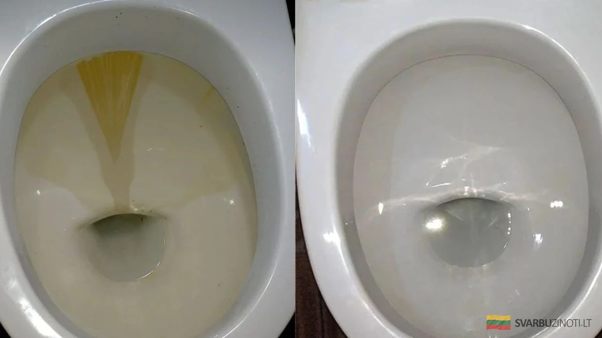 El secreto de las abuelas para un inodoro impecable: ácido cítrico