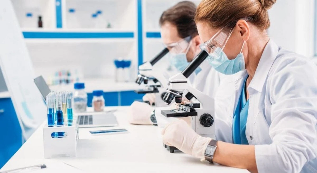 La sorprendente verdad sobre nuestros ancestros: ¡eran peces con cuatro ojos!