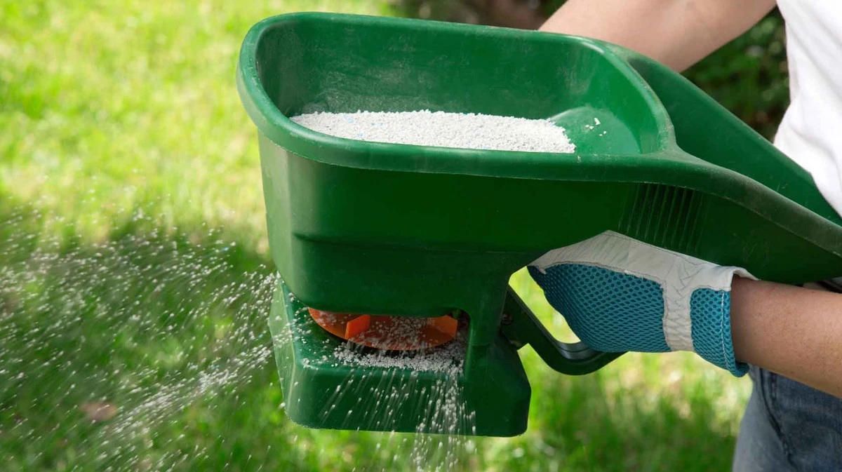 El secreto del césped verde: el momento perfecto para fertilizar y evitar que se queme