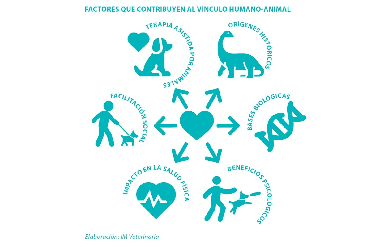 Más allá del perro: el animal que también es tu mejor amigo emocional - image 1