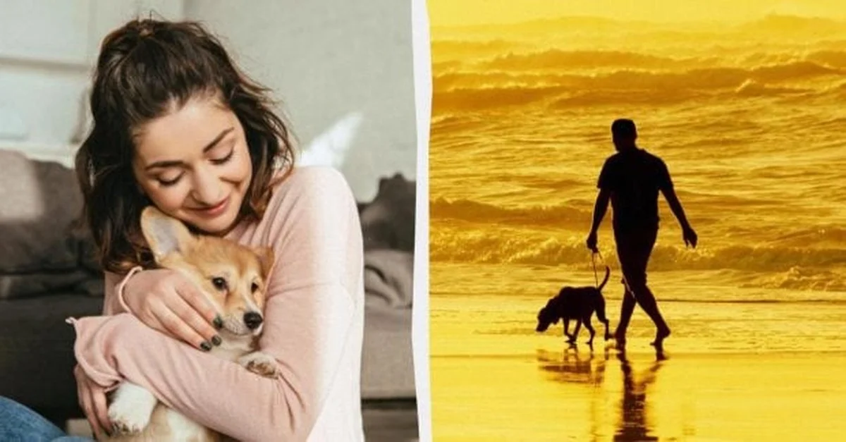 Más allá del perro: el animal que también es tu mejor amigo emocional