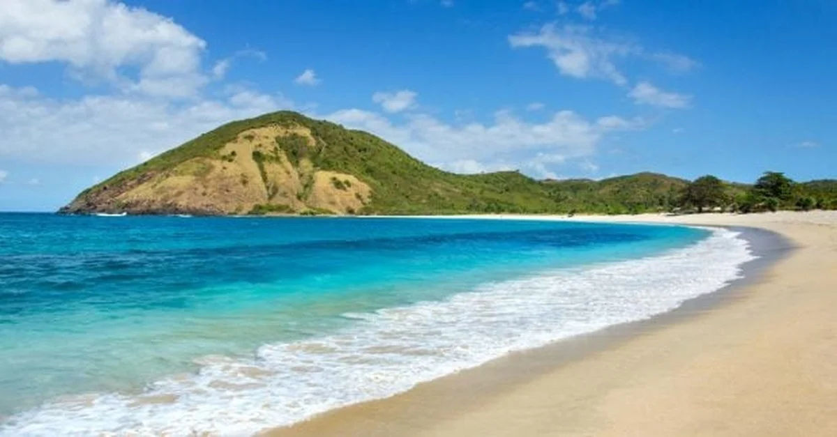 La mano que desafía la historia: Descubierta en Indonesia la pintura rupestre más antigua del mundo