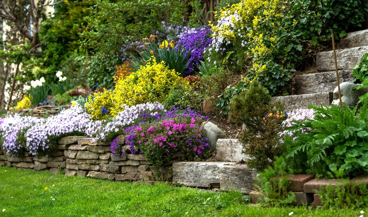 Ocho plantas resistentes que transformarán tu jardín en pendiente: ¡Adiós a la erosión y hola a las flores!