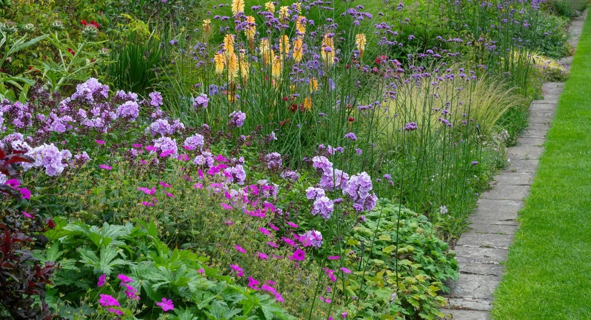 Crea un jardín resistente y lleno de vida con estos trucos de experto para tus plantas perennes