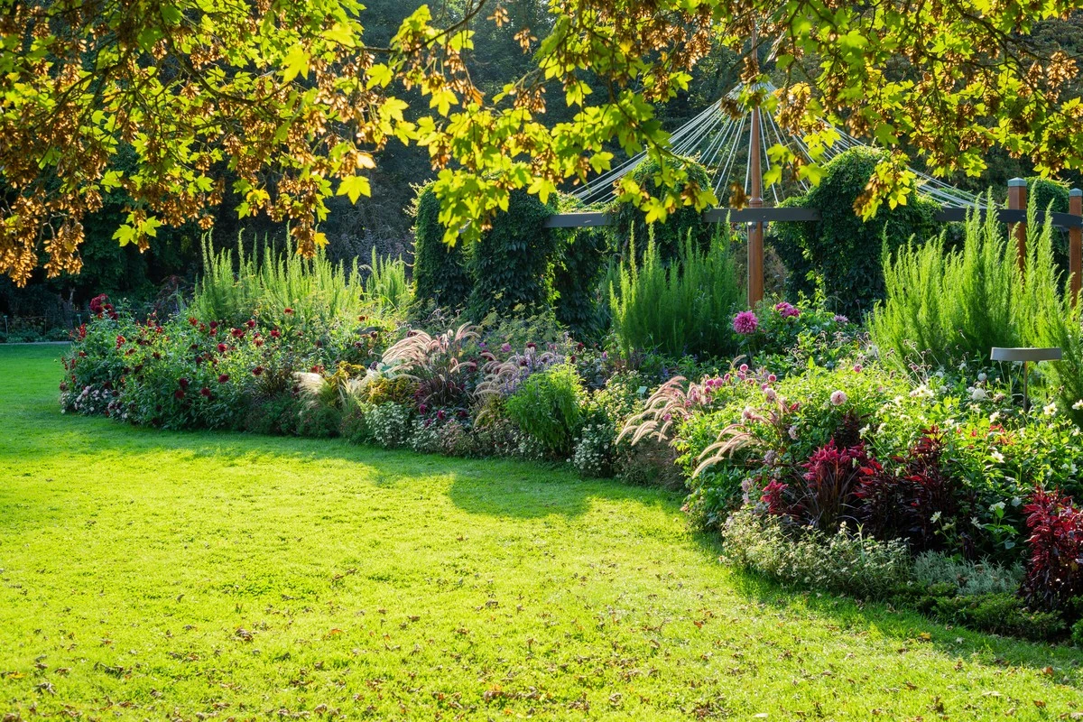 Los 5 errores al planificar un jardín de plantas perennes (y cómo evitarlos)