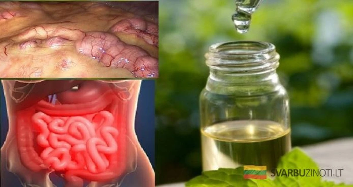 El secreto de la abuela para limpiar el colon: Una receta milenaria para renovar tu cuerpo