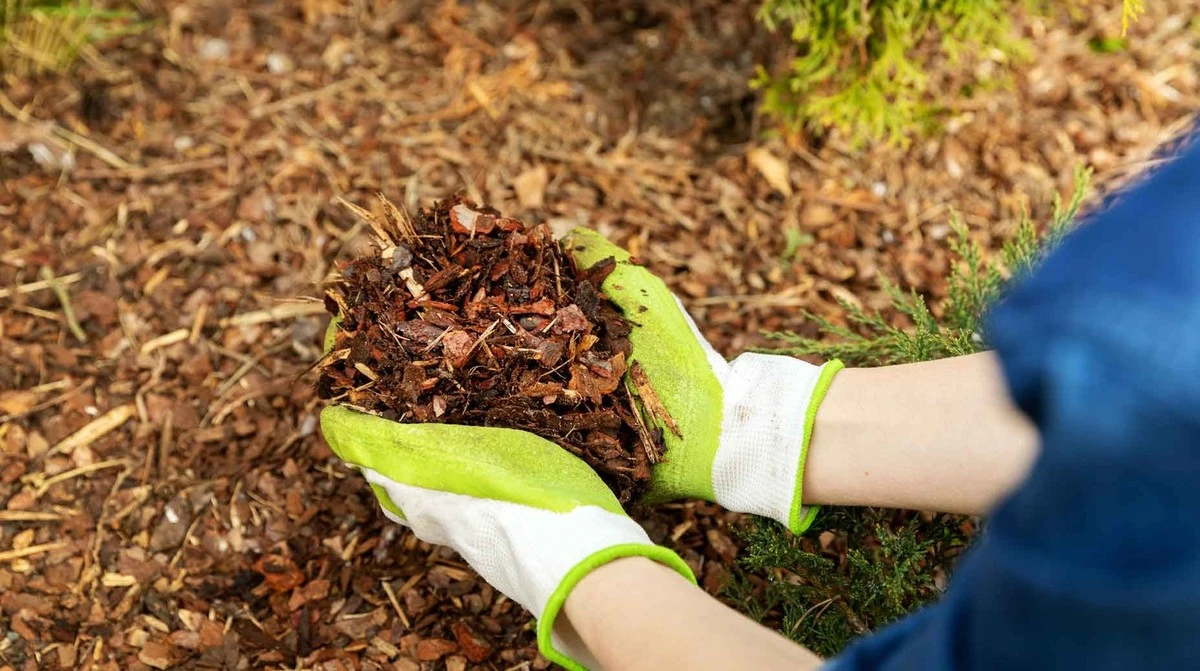 El secreto del mantillo: cómo decirle adiós a las malas hierbas para siempre