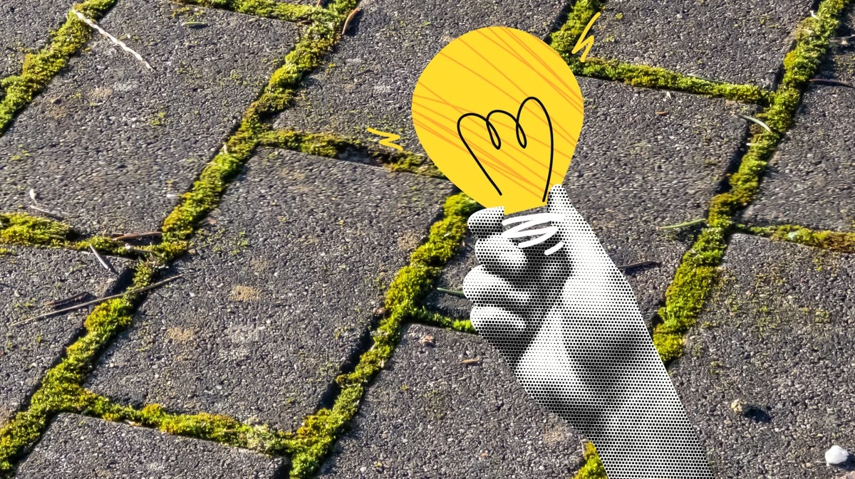 Adiós al musgo: trucos caseros para limpiar tu terraza sin productos químicos