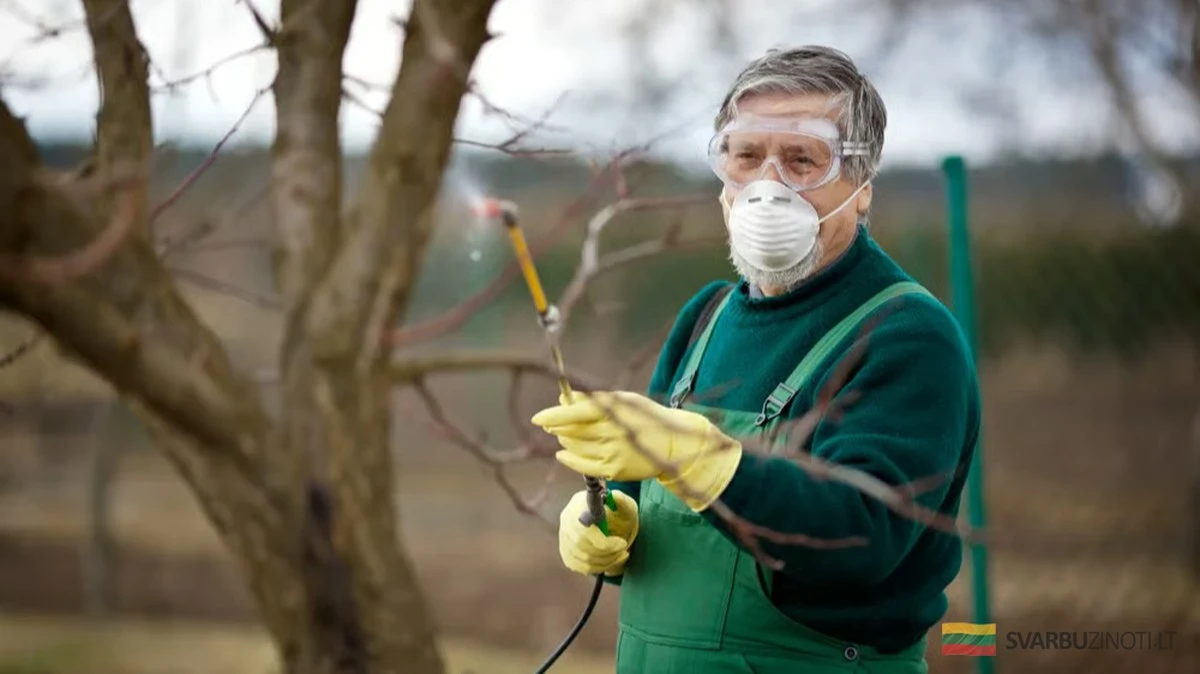 Tratamiento de Manzanos en Primavera: Guía Definitiva para un Jardín Sano y Cosecha Abundante