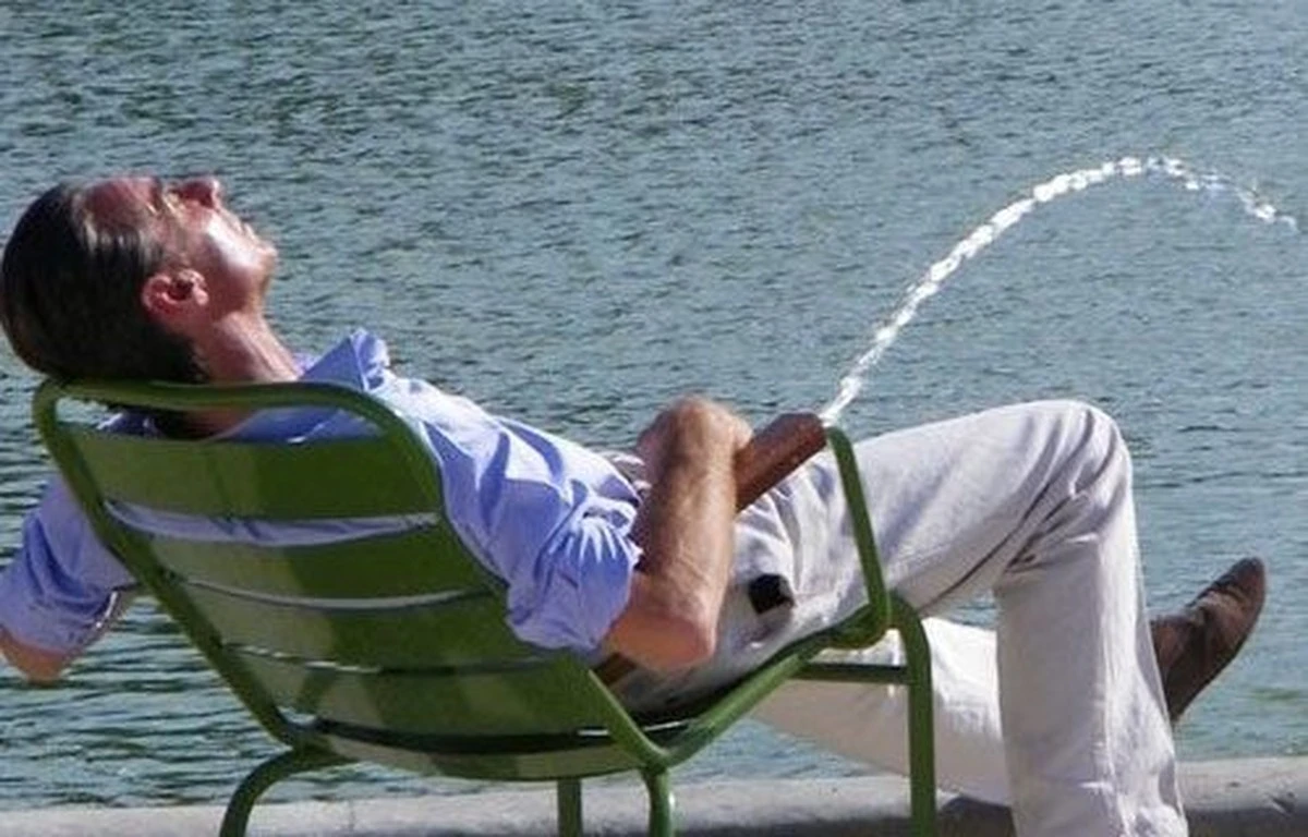 ¿Puedes ver la N oculta entre tantas M? Solo los más observadores la encuentran - image 1