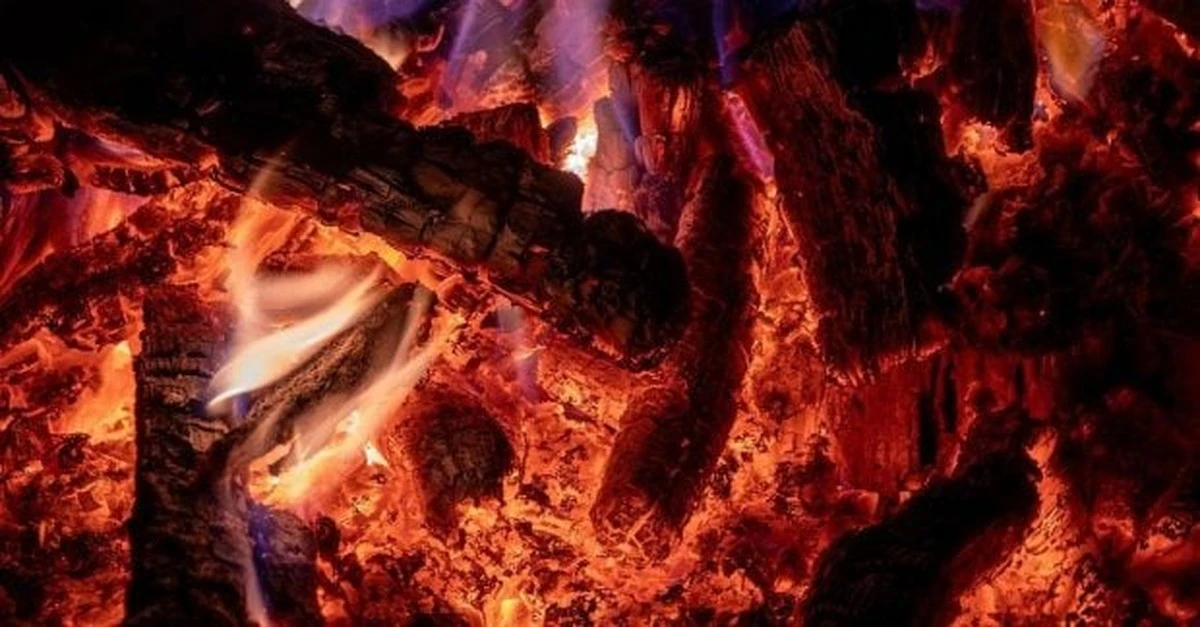 Cómo el fuego y las quemaduras moldearon tu sistema inmunológico para la supervivencia