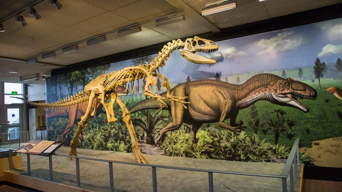 Un fragmento de mandíbula de 1 cm revela un mamífero ancestral que vivió con los dinosaurios - image 1