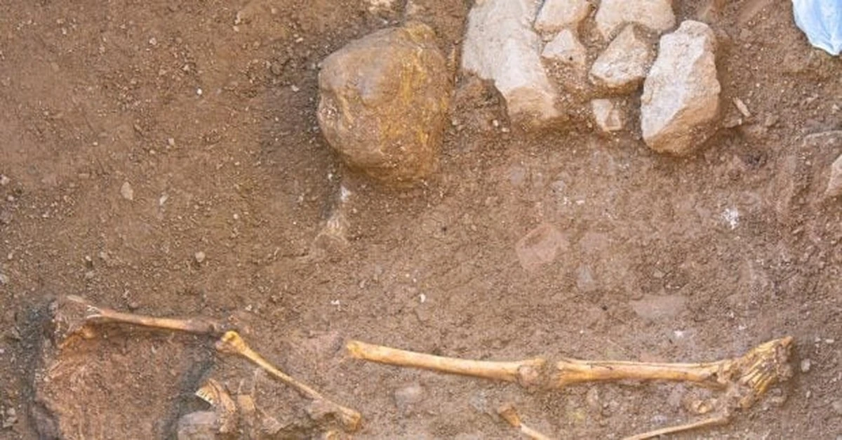 900.000 años atrás: El genoma revela una drástica crisis de población que casi extingue a la humanidad