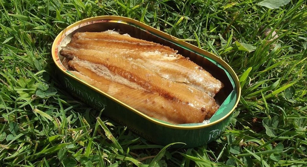 Hallazgo inesperado: conservas de salmón de hace 50 años revelan secretos sobre el océano