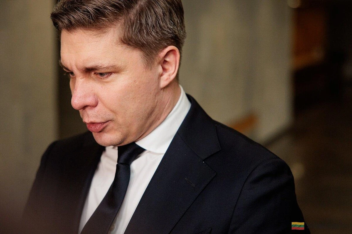 La pugna por el liderazgo del LSDP: elecciones anticipadas y el posible regreso de Sinkevičius