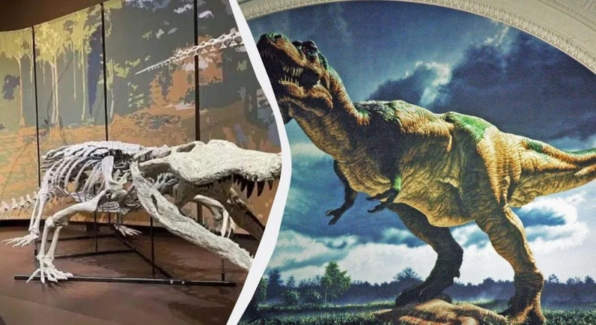 El cazador de dinosaurios: ¿Qué sabemos del colosal cocodrilo que reinó en la prehistoria?