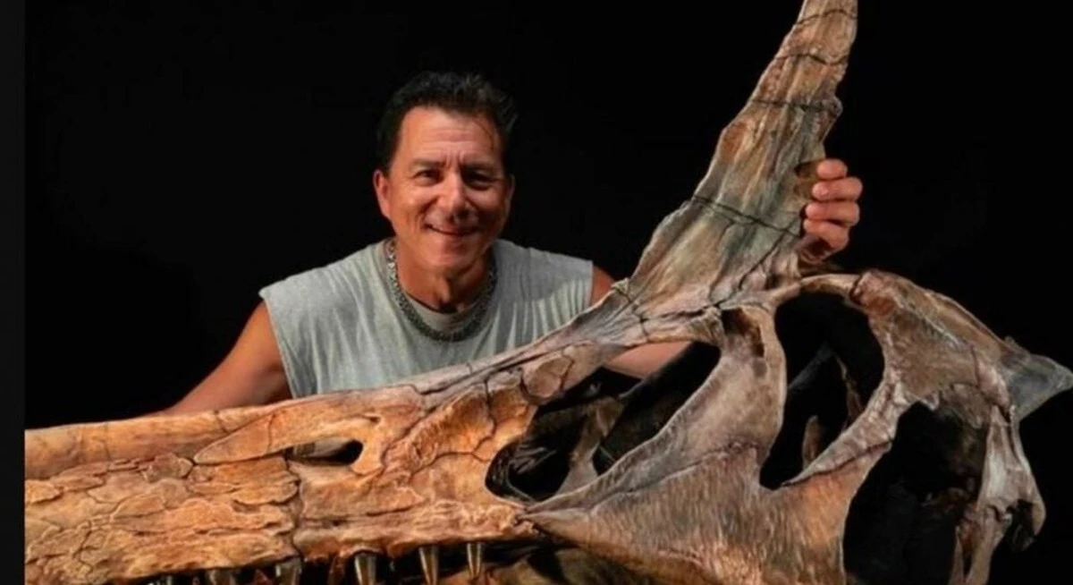 El 'pájaro del infierno' de la Sahara: descubierto un nuevo dinosaurio con velo en la espalda