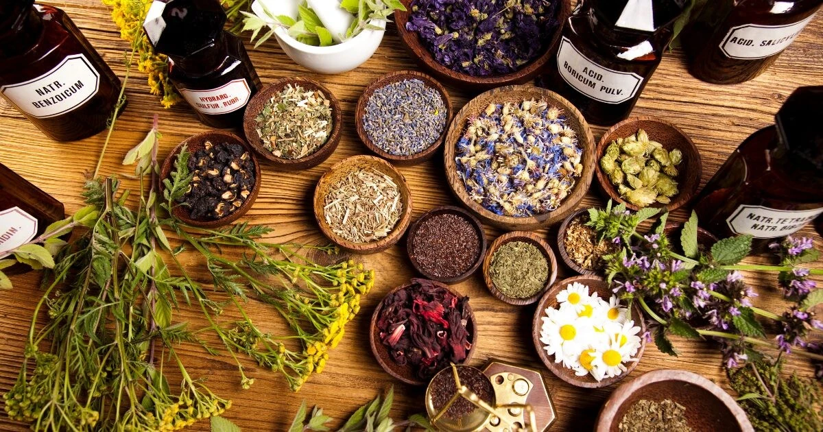 La receta de la farmacéutica para el bienestar total: a veces funciona mejor que una dosis extra de medicina - image 1