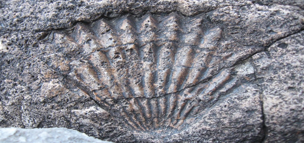 Rompen rocas rojas y encuentran algo que desafía la ciencia: el tesoro oculto en su interior - image 1