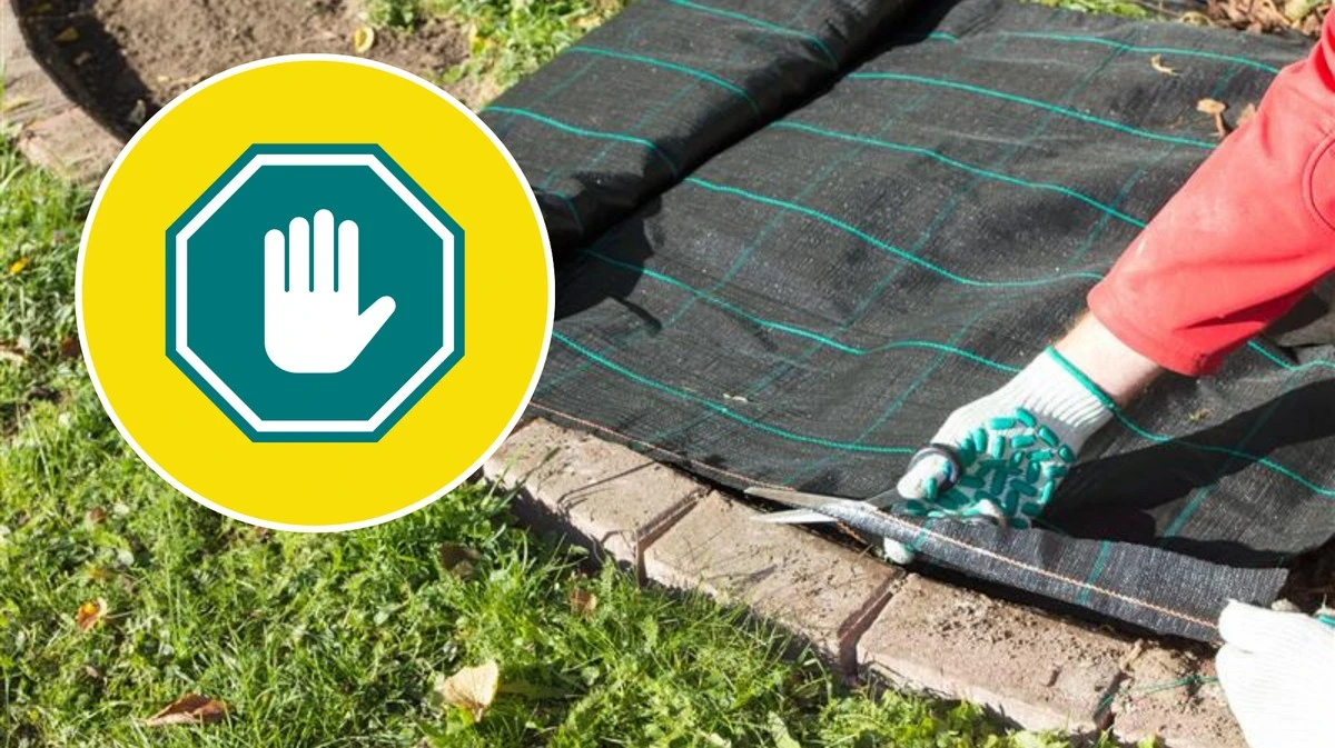 El truco del parterre que te ahorrará horas: cómo el mulching frena la hierba mala sin esfuerzo