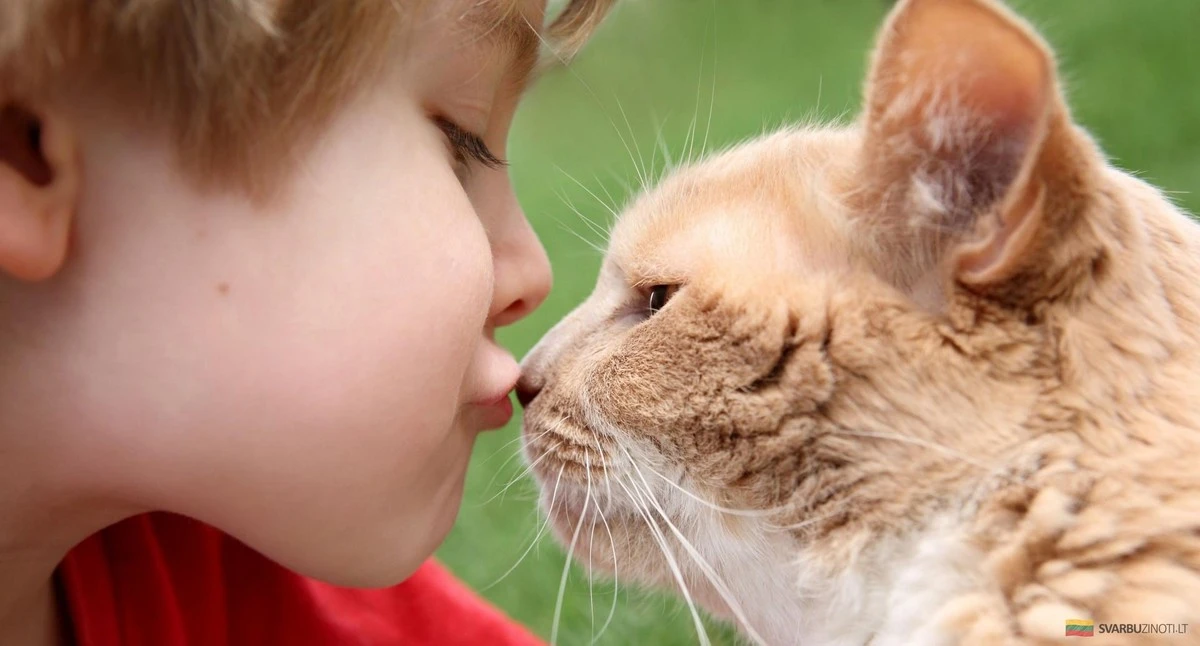 Sorprendente: el peligro oculto de besar a tus mascotas (y cómo evitarlo)
