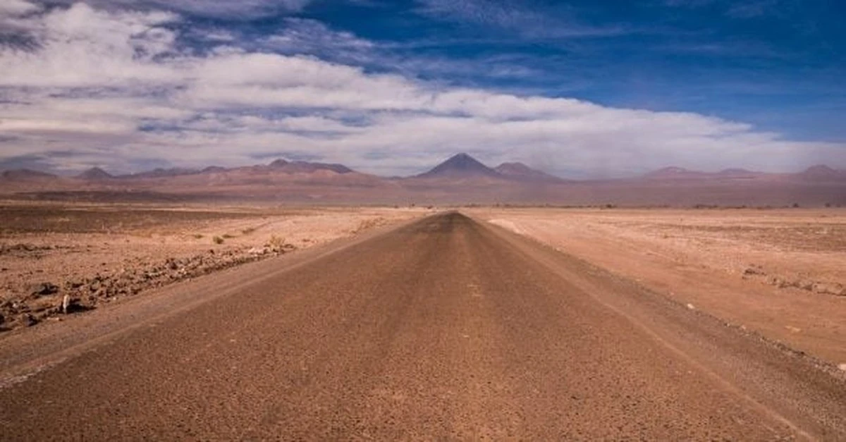 Заголовок: Неожиданные обитатели Атакамы: черви, выживающие при 149°C, меняют наше представление о жизни