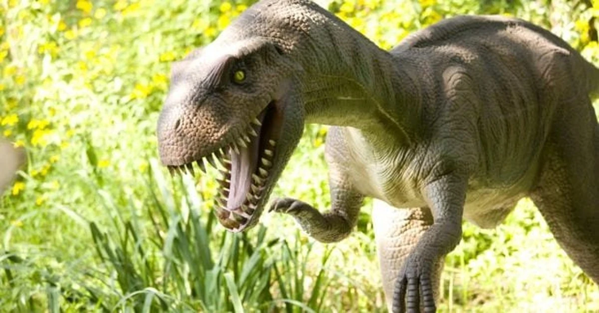 Descubren huellas: algunos dinosaurios corrían tan rápido como ciclistas profesionales