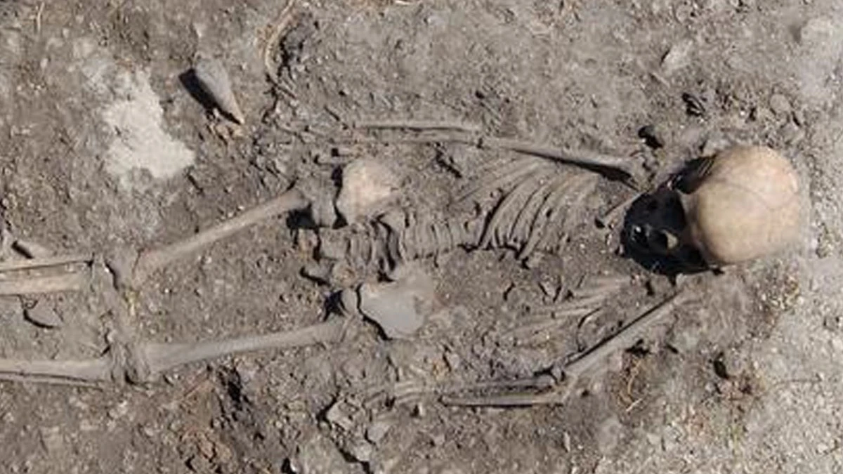 Hallazgo en Suecia: Niño del Neolítico enterrado con un tocado de plumas de pájaro carpintero y piel de venado - image 1