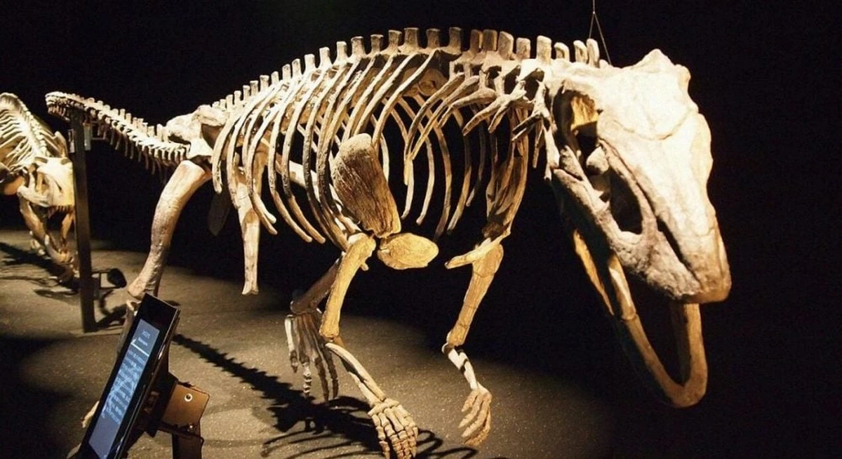 Descubren un 'dinosaurio' caminante de dos patas que era ancestro de los cocodrilos