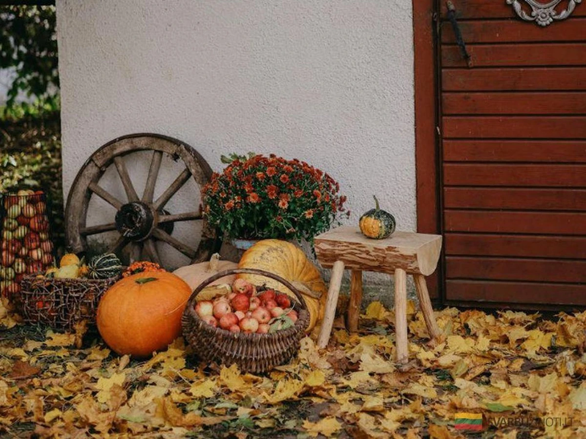 5 tareas de otoño en tu jardín que en realidad deberías evitar