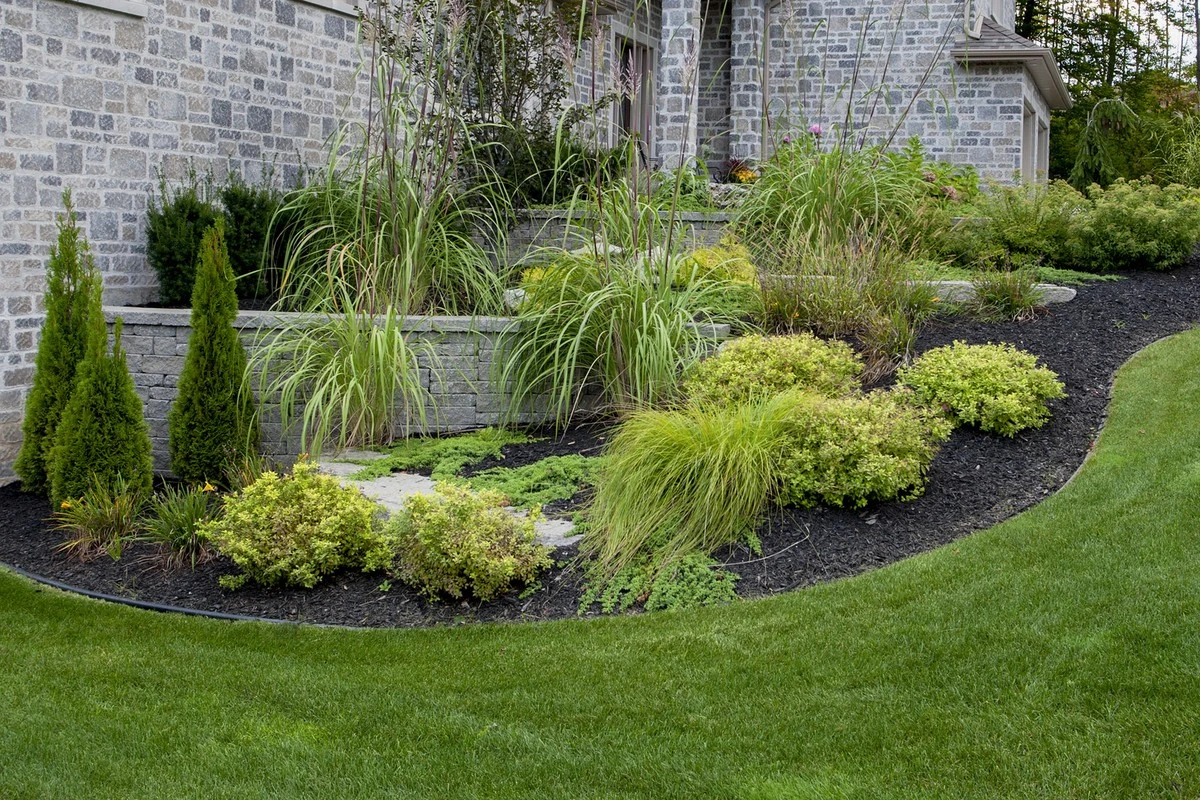 Ocho plantas resistentes que transformarán tu jardín en pendiente: ¡Adiós a la erosión y hola a las flores! - image 1