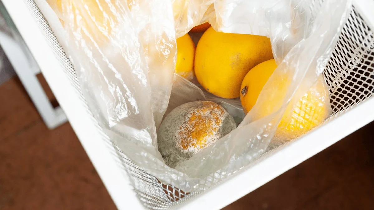 Por qué tus limones y mandarinas se echan a perder tan rápido (y cómo evitarlo)