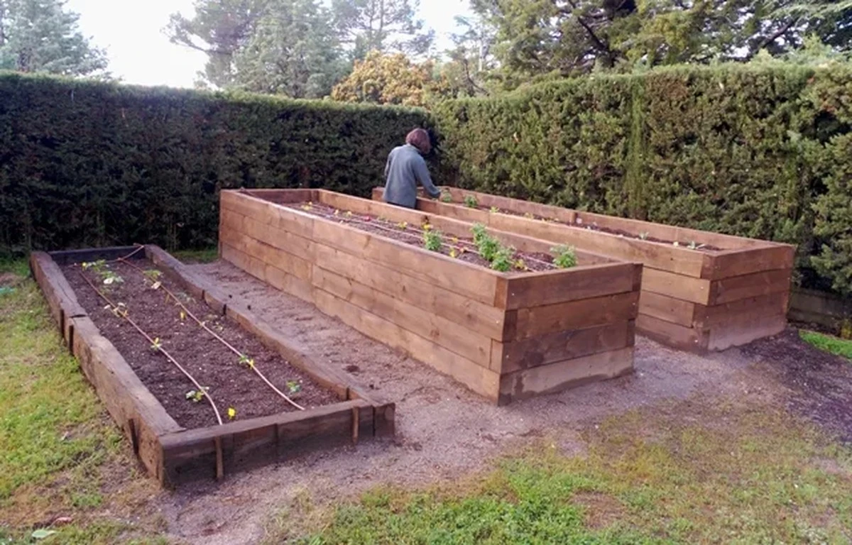 eltrucoinfalibl-extra-1.webp El truco infalible para duplicar tu cosecha en el huerto elevado: el secreto del compost - image 1