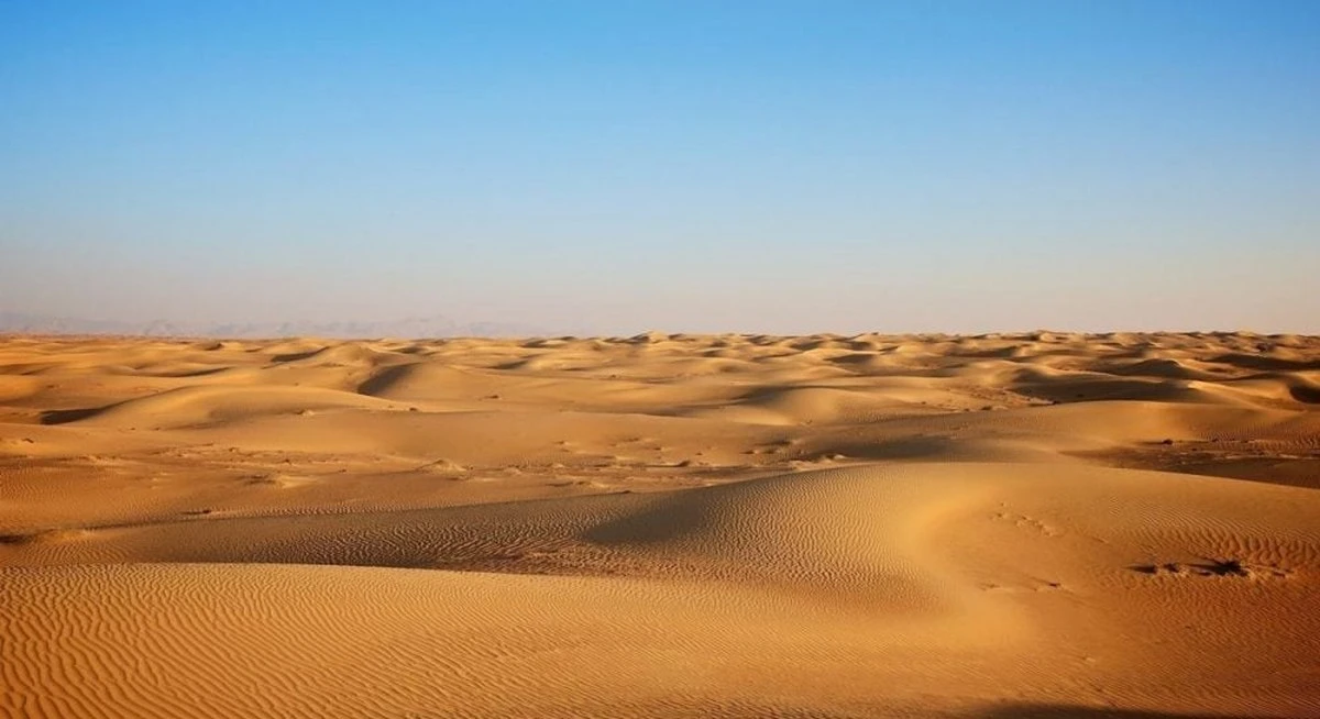 Сахара 8.700 лет назад: cómo esta aridez se convirtió en un edén verde