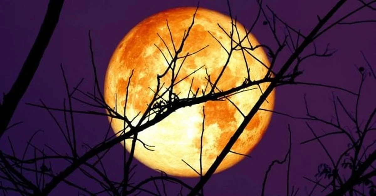 Un asteroide que nos asustó podría chocar contra la Luna: esto es lo que sabemos