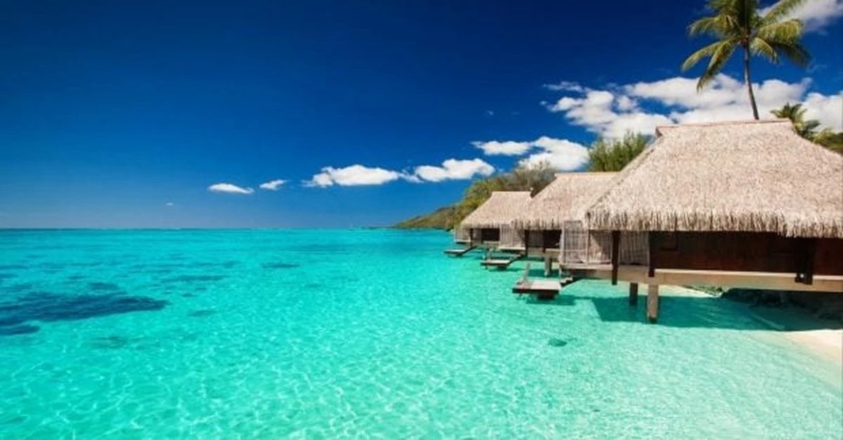 Por qué este océano está perdiendo salinidad a pasos agigantados y qué significa para ti