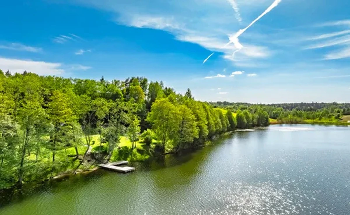 Š. Matijošaitis: cómo el hijo del alcalde amasó tierras por menos que un almuerzo - image 1